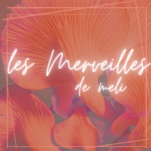 Les Merveilles de Meli